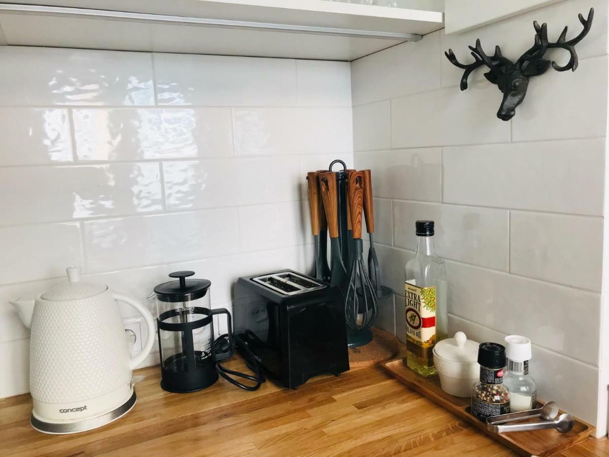 Riga Silent Center Boutique Apt. +Free Parking מראה חיצוני תמונה